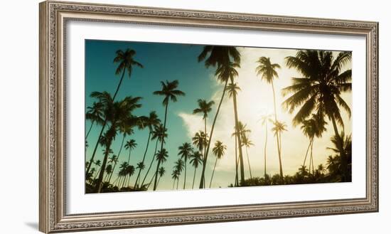 Palm Trees Along the Beach in Morro De Sao Paulo, Tinhare, Cairu, Bahia, Brazil-null-Framed Photographic Print