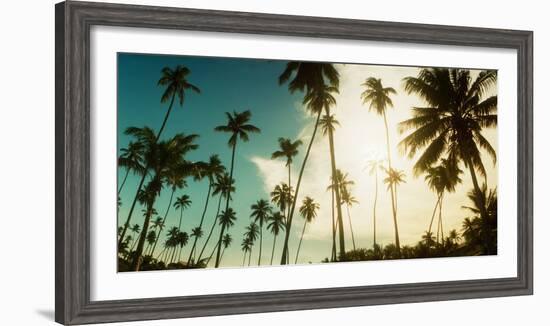 Palm Trees Along the Beach in Morro De Sao Paulo, Tinhare, Cairu, Bahia, Brazil-null-Framed Photographic Print