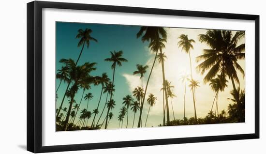 Palm Trees Along the Beach in Morro De Sao Paulo, Tinhare, Cairu, Bahia, Brazil-null-Framed Photographic Print