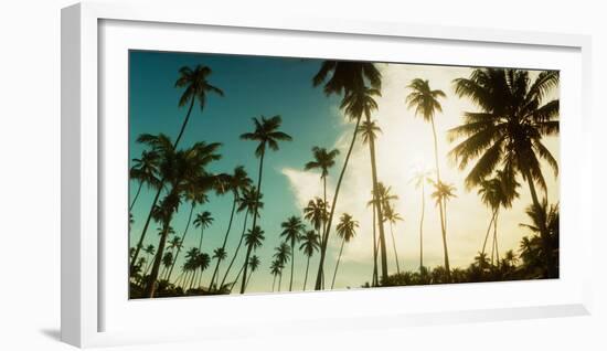 Palm Trees Along the Beach in Morro De Sao Paulo, Tinhare, Cairu, Bahia, Brazil-null-Framed Photographic Print