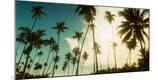 Photographic Print