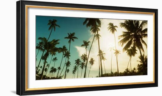 Palm Trees Along the Beach in Morro De Sao Paulo, Tinhare, Cairu, Bahia, Brazil-null-Framed Photographic Print