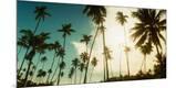 Photographic Print