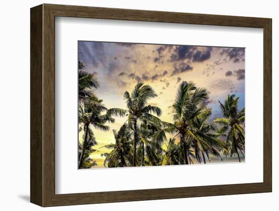 Palm trees along the coastal road, going into the mountains, Bali, Indonesia-Greg Johnston-Framed Photographic Print