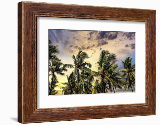 Palm trees along the coastal road, going into the mountains, Bali, Indonesia-Greg Johnston-Framed Photographic Print