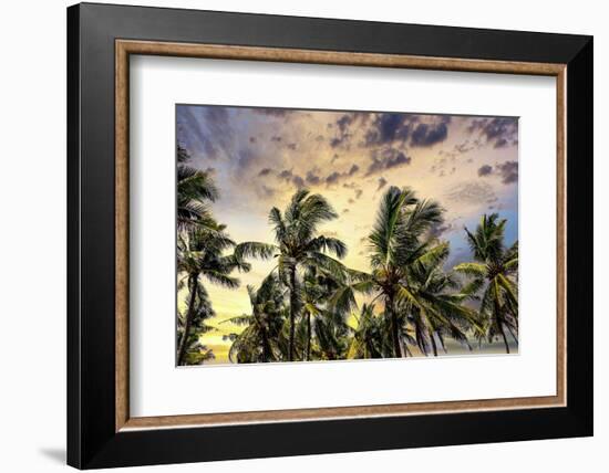 Palm trees along the coastal road, going into the mountains, Bali, Indonesia-Greg Johnston-Framed Photographic Print