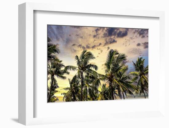 Palm trees along the coastal road, going into the mountains, Bali, Indonesia-Greg Johnston-Framed Photographic Print