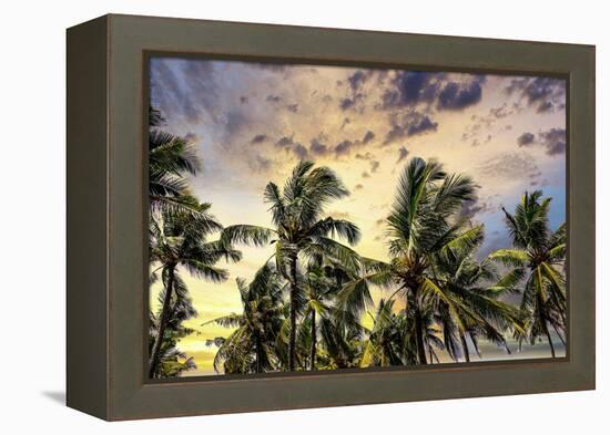 Palm trees along the coastal road, going into the mountains, Bali, Indonesia-Greg Johnston-Framed Premier Image Canvas