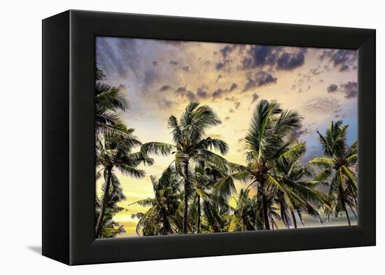 Palm trees along the coastal road, going into the mountains, Bali, Indonesia-Greg Johnston-Framed Premier Image Canvas