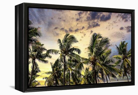 Palm trees along the coastal road, going into the mountains, Bali, Indonesia-Greg Johnston-Framed Premier Image Canvas