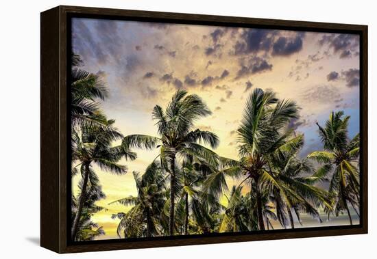 Palm trees along the coastal road, going into the mountains, Bali, Indonesia-Greg Johnston-Framed Premier Image Canvas