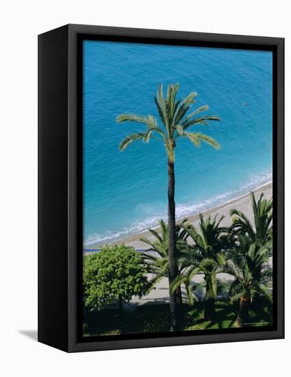 Palm Trees and Baie Des Anges, Nice, Cote d'Azur, Alpes-Maritimes, Provence, France, Europe-Guy Thouvenin-Framed Premier Image Canvas