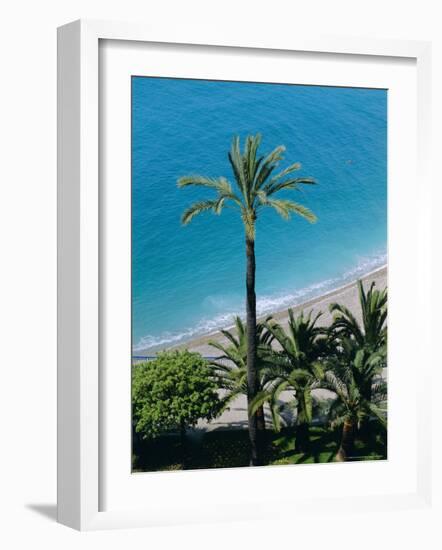 Palm Trees and Baie Des Anges, Nice, Cote d'Azur, Alpes-Maritimes, Provence, France, Europe-Guy Thouvenin-Framed Photographic Print