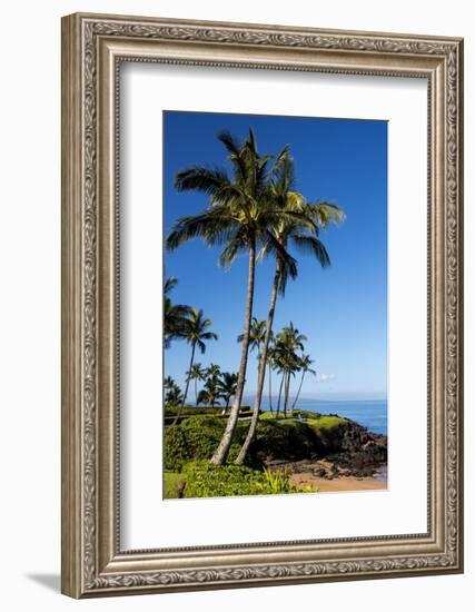 Palm Trees and Beach along the Southern Maui-Terry Eggers-Framed Photographic Print