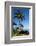 Palm Trees and Beach along the Southern Maui-Terry Eggers-Framed Photographic Print