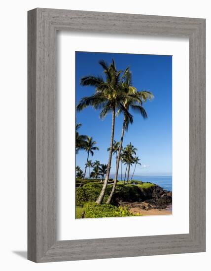 Palm Trees and Beach along the Southern Maui-Terry Eggers-Framed Photographic Print