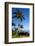 Palm Trees and Beach along the Southern Maui-Terry Eggers-Framed Photographic Print