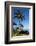 Palm Trees and Beach along the Southern Maui-Terry Eggers-Framed Photographic Print