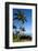 Palm Trees and Beach along the Southern Maui-Terry Eggers-Framed Photographic Print