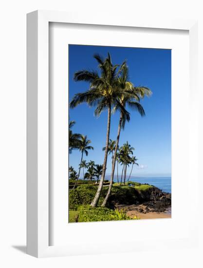 Palm Trees and Beach along the Southern Maui-Terry Eggers-Framed Photographic Print