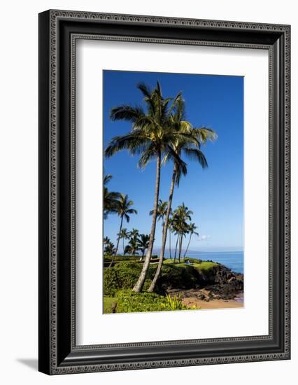 Palm Trees and Beach along the Southern Maui-Terry Eggers-Framed Photographic Print