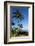 Palm Trees and Beach along the Southern Maui-Terry Eggers-Framed Photographic Print