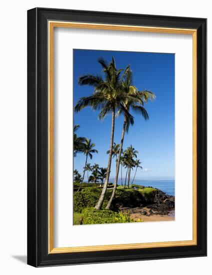 Palm Trees and Beach along the Southern Maui-Terry Eggers-Framed Photographic Print