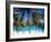 Palm Trees and Beach, Barbados, Caribeean-Peter Adams-Framed Photographic Print