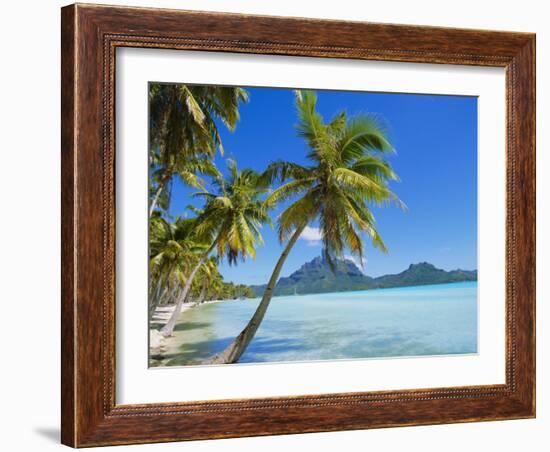 Palm Trees and Beach, Bora Bora, Tahiti, Society Islands, French Polynesia, Pacific-Mark Mawson-Framed Photographic Print