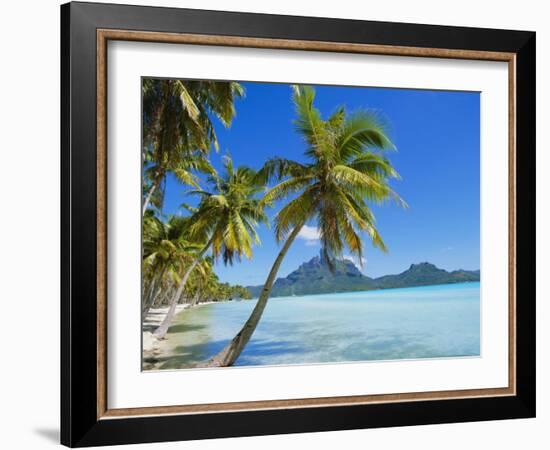 Palm Trees and Beach, Bora Bora, Tahiti, Society Islands, French Polynesia, Pacific-Mark Mawson-Framed Photographic Print