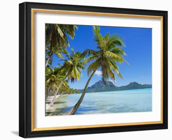 Palm Trees and Beach, Bora Bora, Tahiti, Society Islands, French Polynesia, Pacific-Mark Mawson-Framed Photographic Print