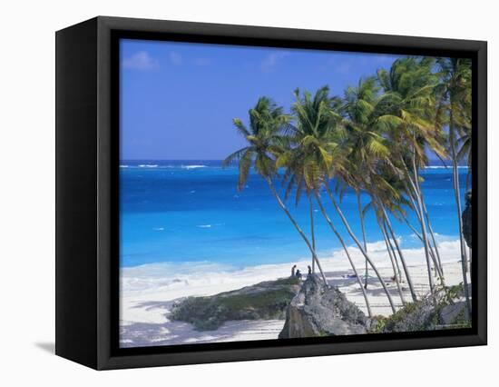 Palm Trees and Beach, Bottom Bay, Barbados, Caribbean, West Indies, Central America-John Miller-Framed Premier Image Canvas