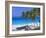 Palm Trees and Beach, Bottom Bay, Barbados, Caribbean, West Indies, Central America-John Miller-Framed Photographic Print