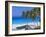 Palm Trees and Beach, Bottom Bay, Barbados, Caribbean, West Indies, Central America-John Miller-Framed Photographic Print