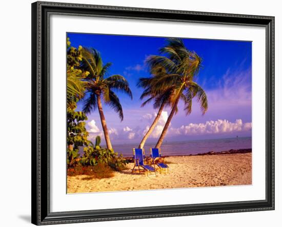 Palm Trees and Beach Chairs, Florida Keys, Florida, USA-Terry Eggers-Framed Photographic Print