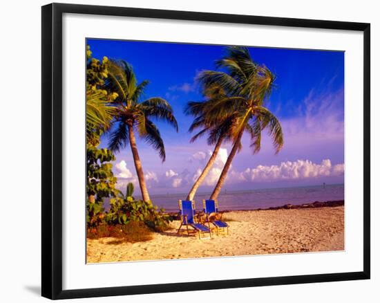 Palm Trees and Beach Chairs, Florida Keys, Florida, USA-Terry Eggers-Framed Photographic Print