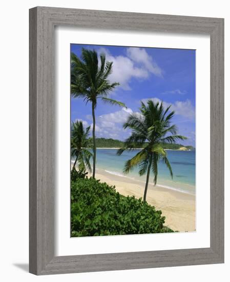 Palm Trees and Beach, Half Moon Bay, Antigua, Leeward Islands, Caribbean, West Indies-John Miller-Framed Photographic Print