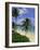 Palm Trees and Beach, Half Moon Bay, Antigua, Leeward Islands, Caribbean, West Indies-John Miller-Framed Photographic Print