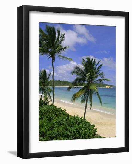 Palm Trees and Beach, Half Moon Bay, Antigua, Leeward Islands, Caribbean, West Indies-John Miller-Framed Photographic Print