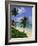 Palm Trees and Beach, Half Moon Bay, Antigua, Leeward Islands, Caribbean, West Indies-John Miller-Framed Photographic Print