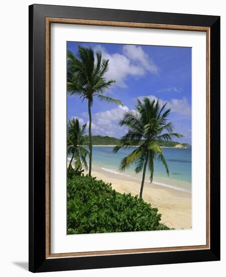 Palm Trees and Beach, Half Moon Bay, Antigua, Leeward Islands, Caribbean, West Indies-John Miller-Framed Photographic Print