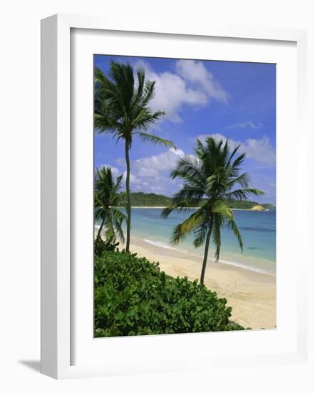 Palm Trees and Beach, Half Moon Bay, Antigua, Leeward Islands, Caribbean, West Indies-John Miller-Framed Photographic Print