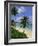 Palm Trees and Beach, Half Moon Bay, Antigua, Leeward Islands, Caribbean, West Indies-John Miller-Framed Photographic Print