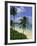 Palm Trees and Beach, Half Moon Bay, Antigua, Leeward Islands, Caribbean, West Indies-John Miller-Framed Photographic Print