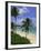 Palm Trees and Beach, Half Moon Bay, Antigua, Leeward Islands, Caribbean, West Indies-John Miller-Framed Photographic Print