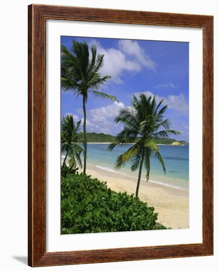 Palm Trees and Beach, Half Moon Bay, Antigua, Leeward Islands, Caribbean, West Indies-John Miller-Framed Photographic Print