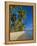 Palm Trees and Beach, Pigeon Point, Tobago, Trinidad and Tobago, West Indies-Gavin Hellier-Framed Premier Image Canvas