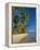 Palm Trees and Beach, Pigeon Point, Tobago, Trinidad and Tobago, West Indies-Gavin Hellier-Framed Premier Image Canvas