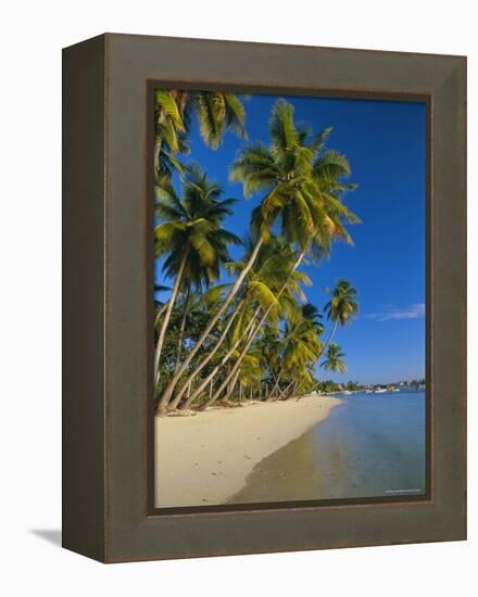 Palm Trees and Beach, Pigeon Point, Tobago, Trinidad and Tobago, West Indies-Gavin Hellier-Framed Premier Image Canvas