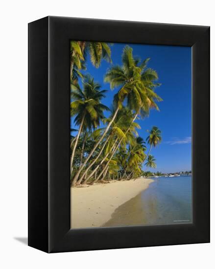 Palm Trees and Beach, Pigeon Point, Tobago, Trinidad and Tobago, West Indies-Gavin Hellier-Framed Premier Image Canvas